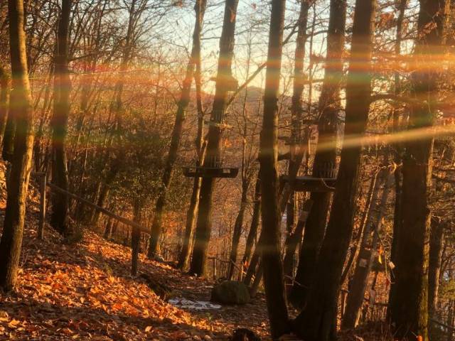 La magia del foliage tra gli alberi del Parco