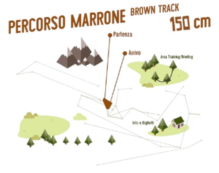 BROWN TRACK