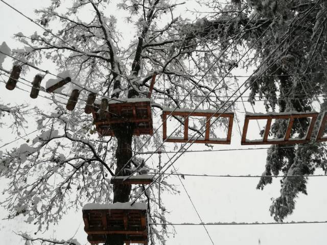 All’Adventure Park Le Pigne è arrivata la neve 