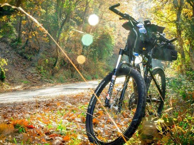 LA BICICLETTA: UNO SPORT, UN DIVERTIMENTO, UN TOCCASANA... I BENEFICI PER CORPO E MENTE