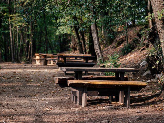 Una giornata tra amici nella nostra area pic nic