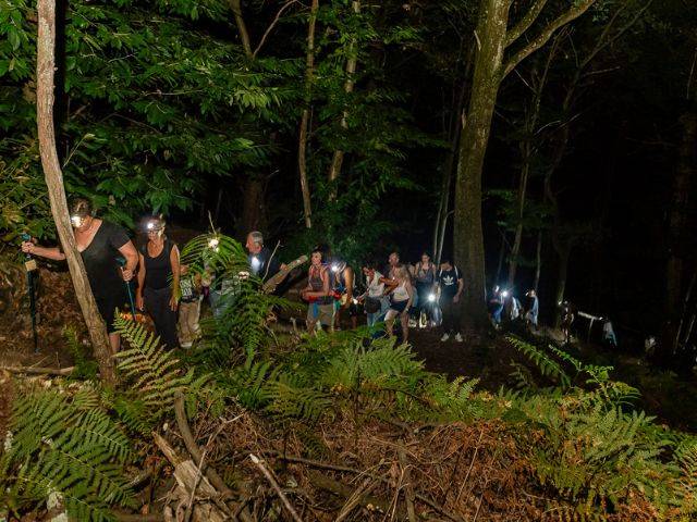 Notte di San Lorenzo al Parco Le Pigne: natura, emozioni e stelle cadenti