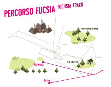 FUCHSIA TRACK